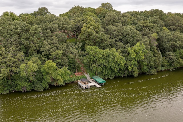 69497 233rd St, Dassel, MN 55325 - photo 27