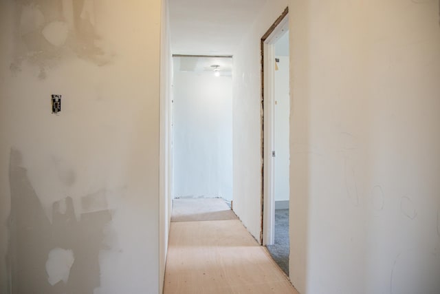 305 2nd Ave SE, Plainview, MN 55964 - hallway featuring light carpet