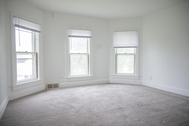 305 2nd Ave SE, Plainview, MN 55964 - carpeted empty room with baseboards