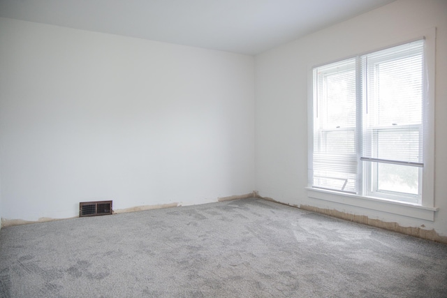 305 2nd Ave SE, Plainview, MN 55964 - spare room with plenty of natural light and carpet floors