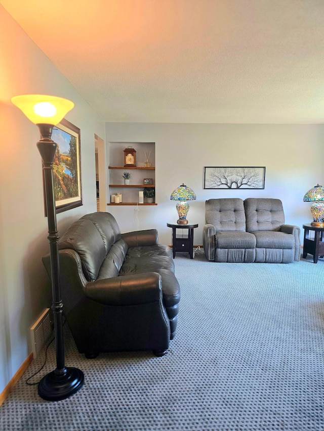 8047 Ingleside Ave S, Cottage Grove, MN 55016 - carpeted living room featuring built in shelves and baseboards