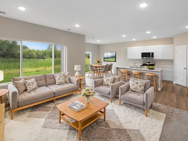 3218 Kady Ave NE, Saint Michael, MN 55376 - living room with wood finished floors and recessed lighting
