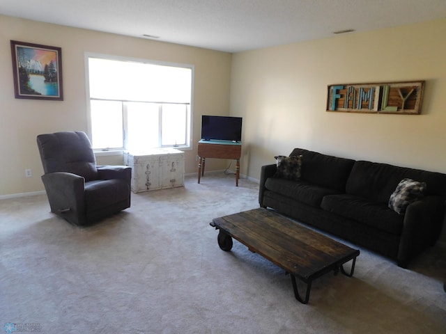 42710 County Highway 56 Unit 101, Toad Lake Twp, MN 56544 - living area with light colored carpet