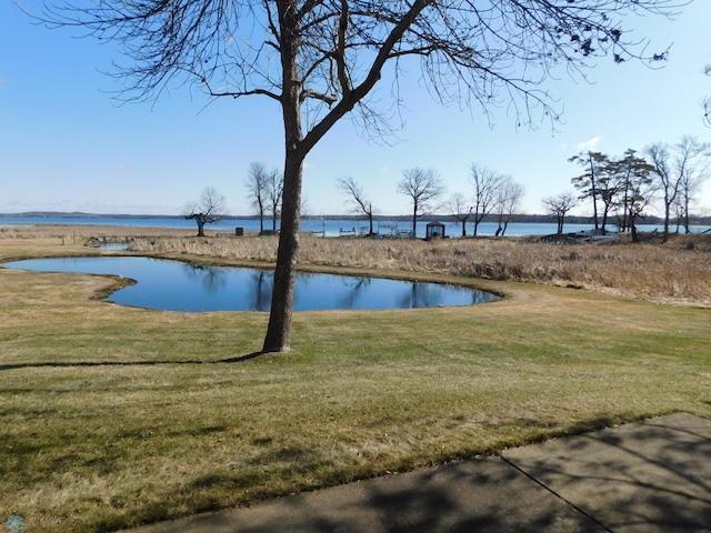 42710 County Highway 56 Unit 101, Toad Lake Twp, MN 56544 - water view