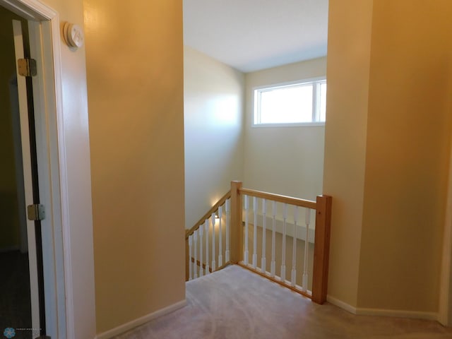 42710 County Highway 56 Unit 101, Toad Lake Twp, MN 56544 - hallway featuring an upstairs landing and carpet floors