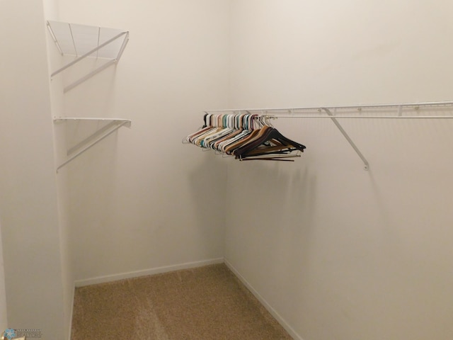 42710 County Highway 56 Unit 101, Toad Lake Twp, MN 56544 - spacious closet featuring light colored carpet