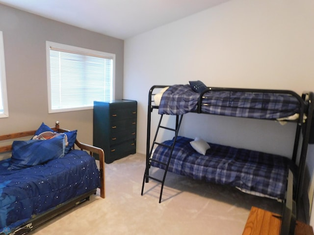 42710 County Highway 56 Unit 101, Toad Lake Twp, MN 56544 - bedroom with carpet floors