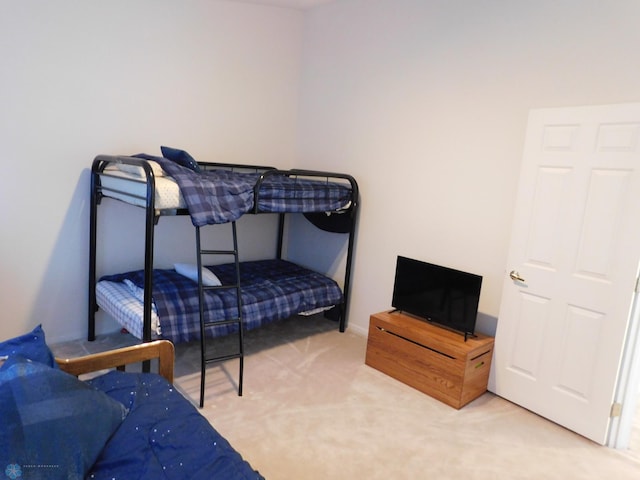 42710 County Highway 56 Unit 101, Toad Lake Twp, MN 56544 - bedroom with carpet floors