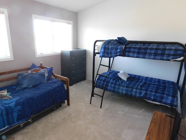 42710 County Highway 56 Unit 101, Toad Lake Twp, MN 56544 - carpeted bedroom with multiple windows