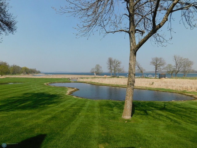 42710 County Highway 56 Unit 101, Toad Lake Twp, MN 56544 - water view