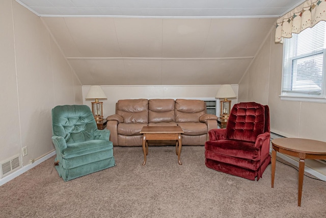 462 Saint Charles St, Winona, MN 55987 - carpeted living area with vaulted ceiling