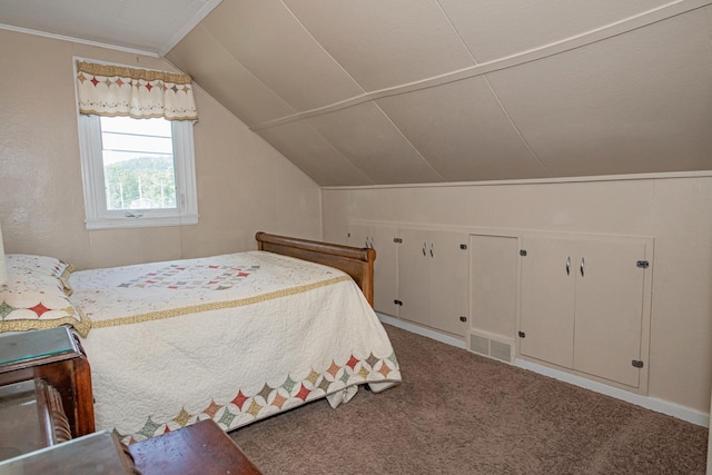 462 Saint Charles St, Winona, MN 55987 - bedroom featuring lofted ceiling and carpet flooring