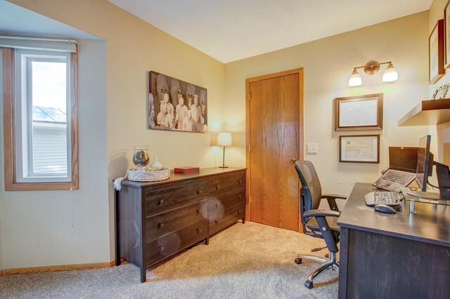 5130 Cottonwood Ln N, Plymouth, MN 55442 - photo 23