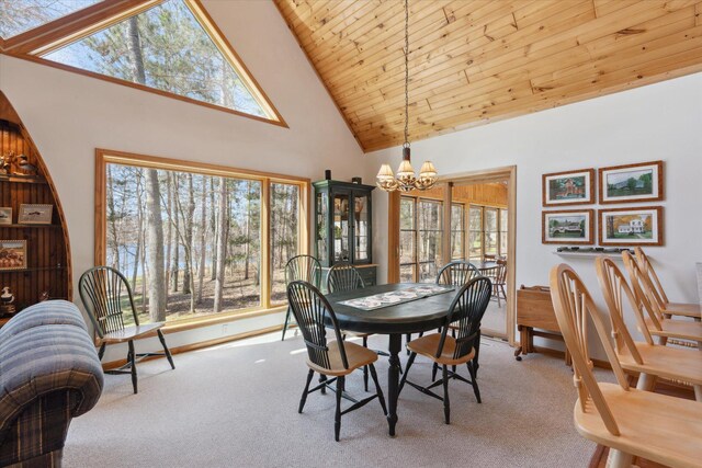 38327 Arrowhead Dr, Pine River, MN 56474 - photo 15