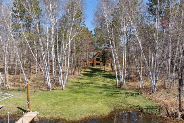 38327 Arrowhead Dr, Pine River, MN 56474 - photo 56