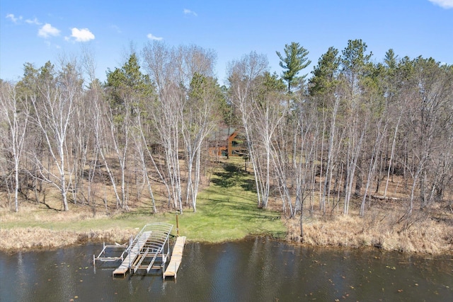 38327 Arrowhead Dr, Pine River, MN 56474 - photo 57