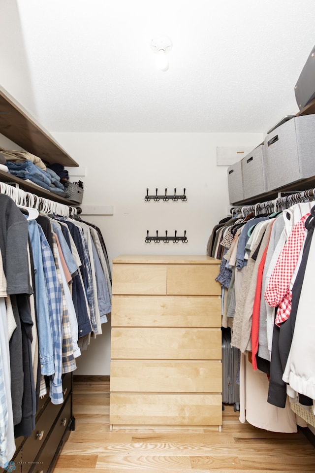 25 Birch Ln S, Fargo, ND 58103 - walk in closet with light wood-style flooring