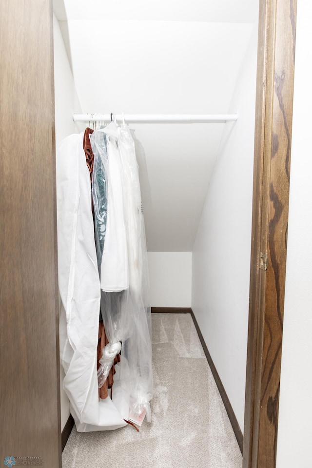 25 Birch Ln S, Fargo, ND 58103 - spacious closet with carpet
