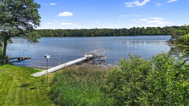 13384 Barnett Rd SW, Sylvan Twp, MN 56473 - dock area featuring a wooded view and a water view