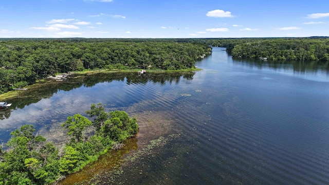 13384 Barnett Rd SW, Sylvan Twp, MN 56473 - bird's eye view of a forest and a large body of water