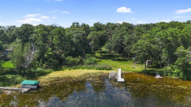 13384 Barnett Rd SW, Sylvan Twp, MN 56473 - water view with a boat dock