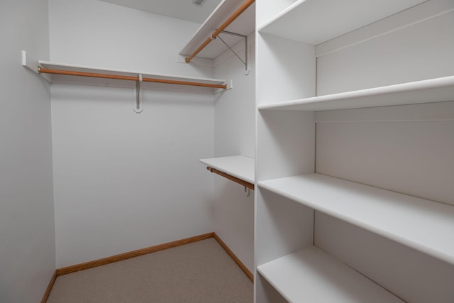 104 County Rd N, Le Roy, MN 55951 - spacious closet featuring carpet floors