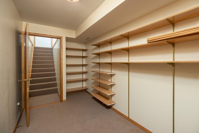 104 County Rd N, Le Roy, MN 55951 - spacious closet with carpet flooring