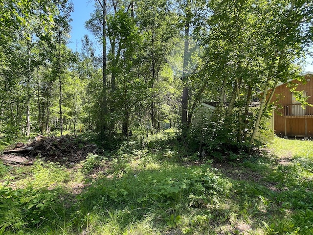951 Swede Lake Trl SW, Backus, MN 56435 - photo 25