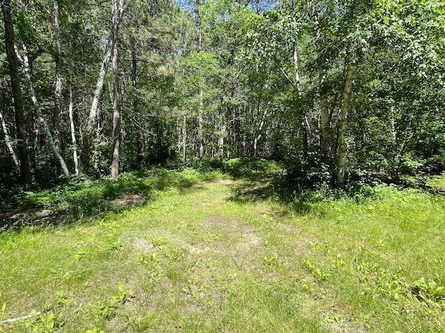 951 Swede Lake Trl SW, Backus, MN 56435 - photo 27