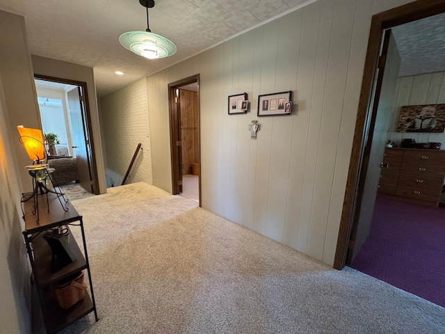 715 250th Ave, Fairmont, MN 56031 - corridor with carpet, an upstairs landing, and wood walls