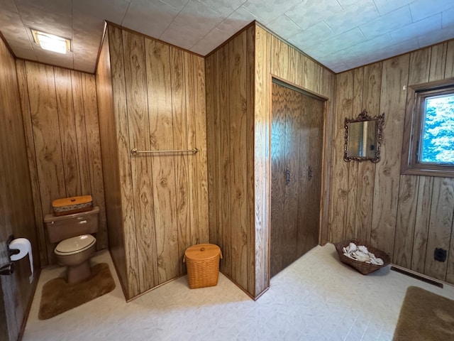 715 250th Ave, Fairmont, MN 56031 - bathroom with toilet and wood walls
