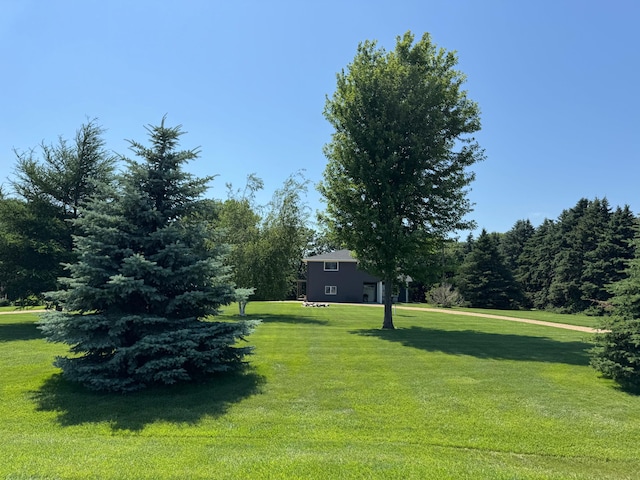 715 250th Ave, Fairmont, MN 56031 - view of grassy yard