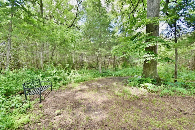 34740 County Road 9, Avon Twp, MN 56310 - photo 32