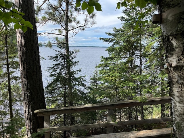 2485 Keyes Is, International Falls, MN 56649 - water view