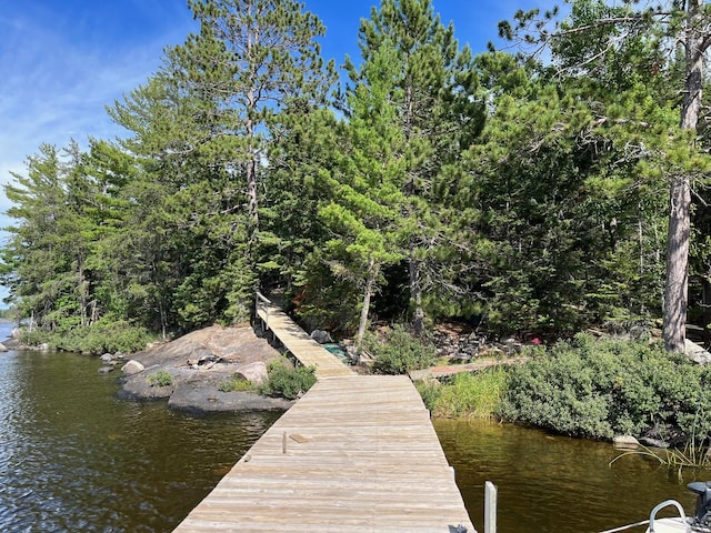 2485 Keyes Is, International Falls, MN 56649 - dock with a water view