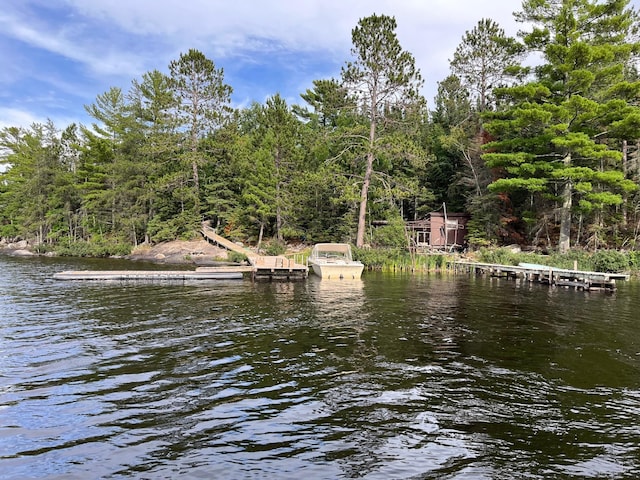 2485 Keyes Is, International Falls, MN 56649 - dock featuring a water view
