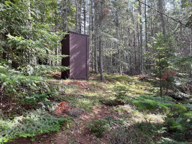 2485 Keyes Is, International Falls, MN 56649 - view of yard featuring a storage unit and a wooded view