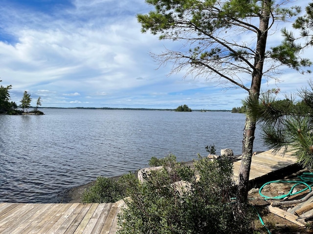 2485 Keyes Is, International Falls, MN 56649 - water view