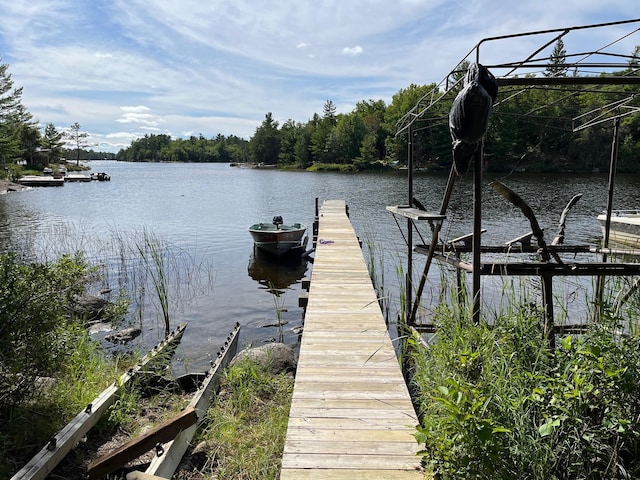2485 Keyes Is, International Falls, MN 56649 - dock area with a water view