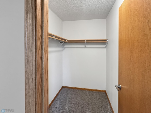 3337 Monroe St S, Fargo, ND 58104 - spacious closet with carpet floors