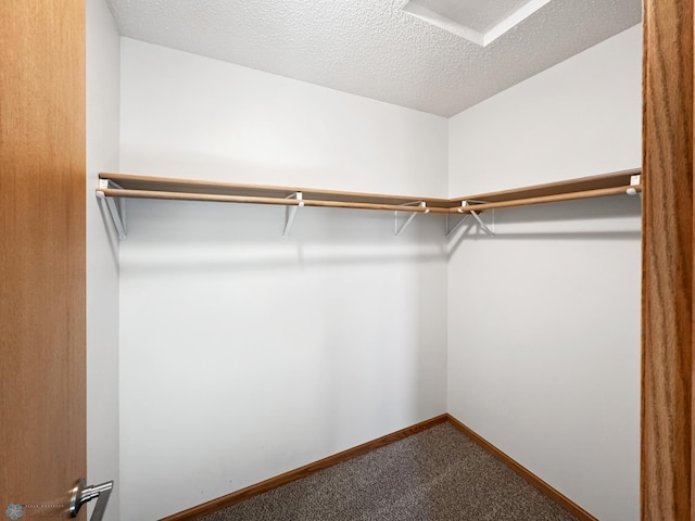 3337 Monroe St S, Fargo, ND 58104 - walk in closet with carpet