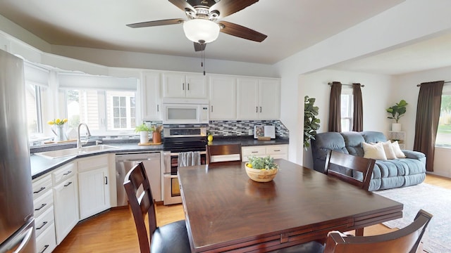 711 5th Ave SW, Austin, MN 55912 - dining space featuring plenty of natural light, light wood finished floors, and a ceiling fan