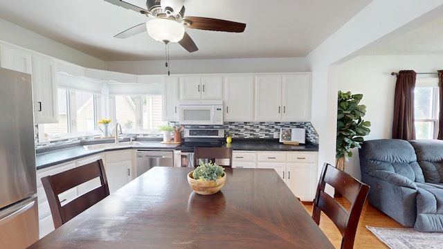 711 5th Ave SW, Austin, MN 55912 - kitchen featuring stainless steel appliances, plenty of natural light, dark countertops, and a ceiling fan