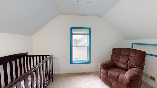 711 5th Ave SW, Austin, MN 55912 - bedroom featuring carpet and lofted ceiling