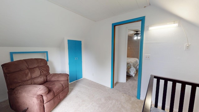 711 5th Ave SW, Austin, MN 55912 - living area with lofted ceiling and carpet flooring
