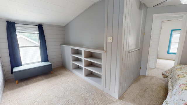 711 5th Ave SW, Austin, MN 55912 - unfurnished bedroom featuring carpet floors and vaulted ceiling