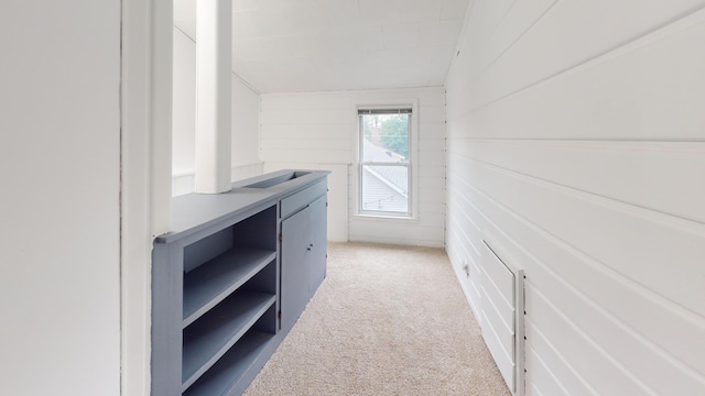 711 5th Ave SW, Austin, MN 55912 - walk in closet with light carpet and lofted ceiling