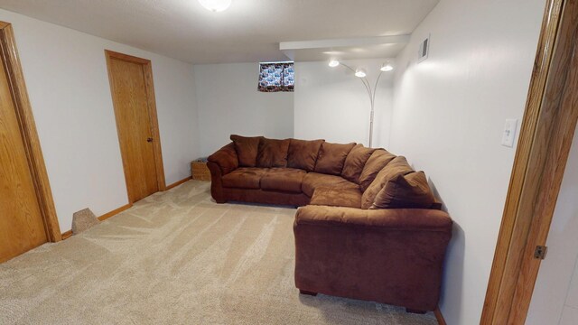 711 5th Ave SW, Austin, MN 55912 - living area with light carpet