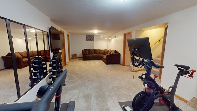 711 5th Ave SW, Austin, MN 55912 - exercise area featuring carpet flooring