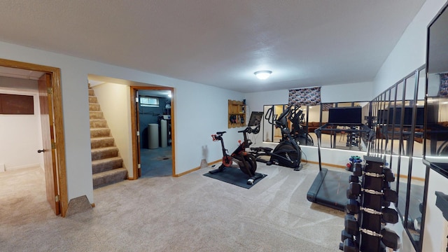 711 5th Ave SW, Austin, MN 55912 - exercise area featuring carpet flooring